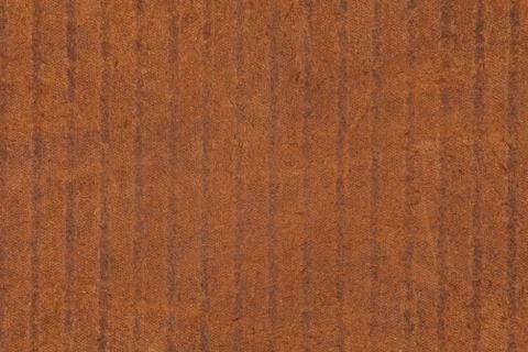 High resolution texture. Background. Skin. Stock Photos