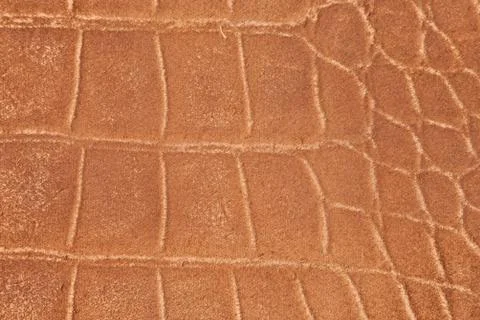 High resolution texture. Background. Skin. Foto stock