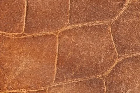 High resolution texture. Background. Skin. Stock Photos
