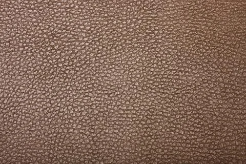 High resolution texture. Background. Skin Stock Photos