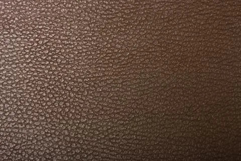 High resolution texture. Background. Skin. Stock Photos