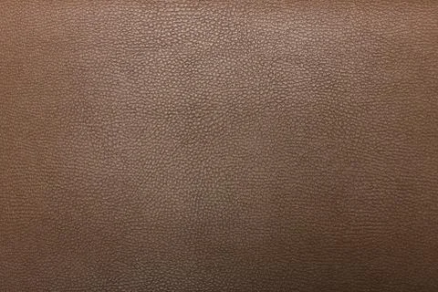 High resolution texture. Background. Skin. Stock Photos