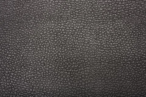 High resolution texture. Background. Skin. Stock Photos