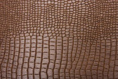 High resolution texture. Background. Skin. Stock Photos