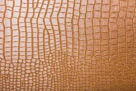 High resolution texture. Background. Skin. Stock Photos