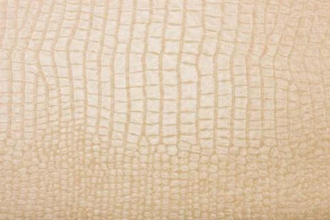 High resolution texture. Background. Skin. Stock Photos