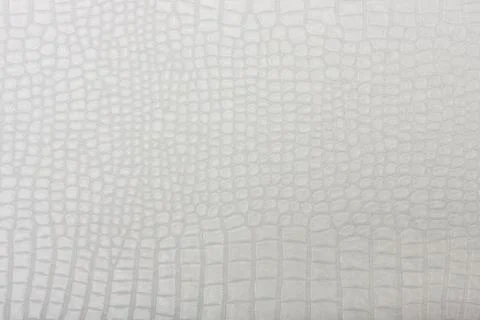 High resolution texture. Background. Skin. Stock Photos