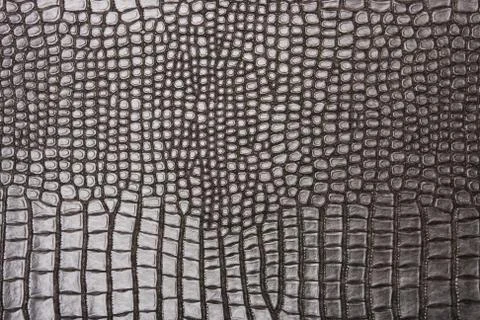 High resolution texture. Background. Skin. Stock Photos