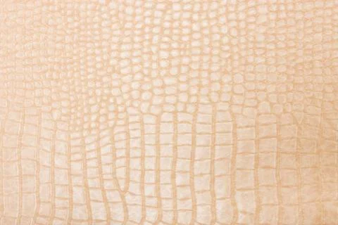 High resolution texture. Background. Skin. Stock Photos