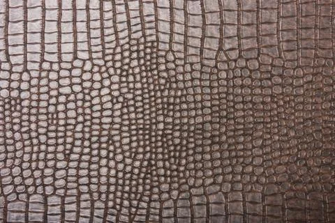 High resolution texture. Background. Skin Stock Photos