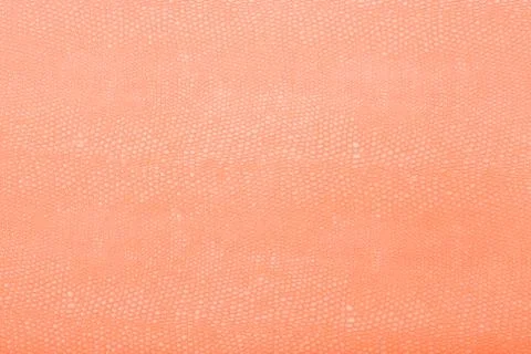 High resolution texture. Background. Skin. Stock Photos