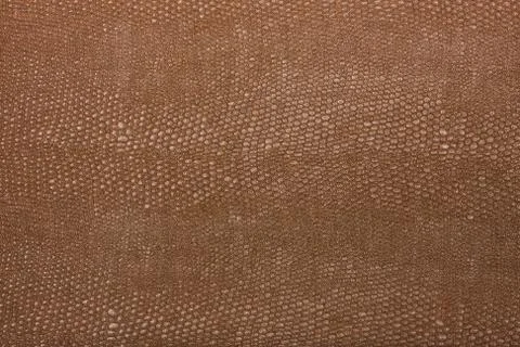 High resolution texture. Background. Skin. Stock Photos
