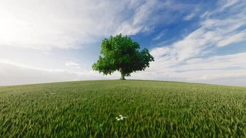 High resolution. A tree standing alone in a lawn. 3d rendering Stock Illustration