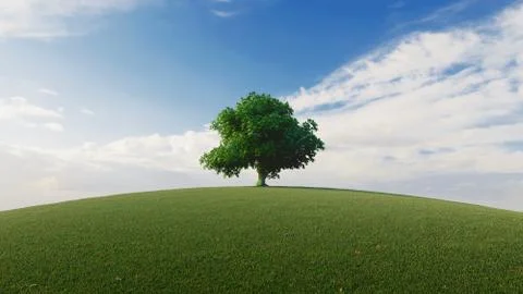 High resolution. A tree standing alone in a lawn. 3d rendering Stock Illustration