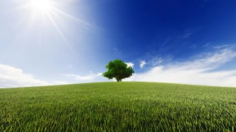 High resolution. A tree standing alone in a lawn. 3d rendering Illustrazione stock