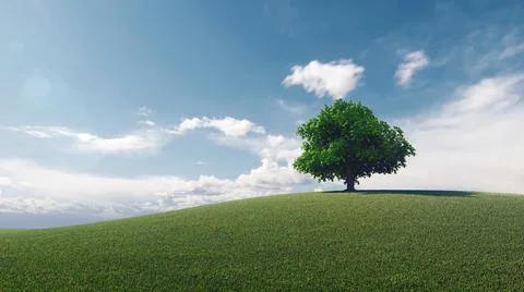 High resolution. A tree standing alone in a lawn. 3d rendering Illustration