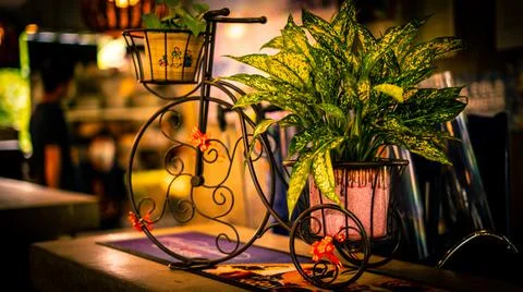 High resolution wallpapers, flower plants green background Stock Photos
