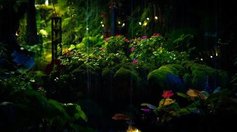 High resolution wallpapers, flower plants green background Stock Photos