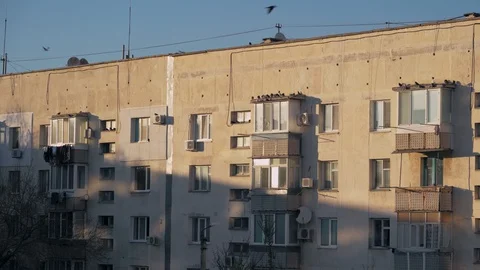 High-rise building in partial shade and a lot of pigeons on roofs of balconies Stock Footage 128006920