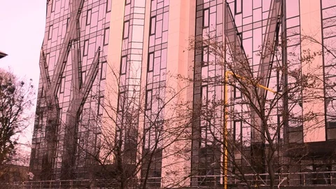 High Rise Building In The Rays Of A Pink Sunset And Trees Stock Footage 104808668