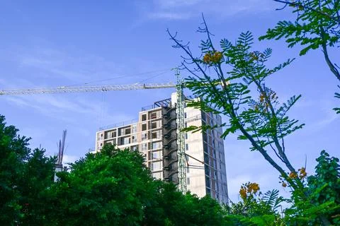 High-rise building under construction with crane and green foliage view Fotos de archivo