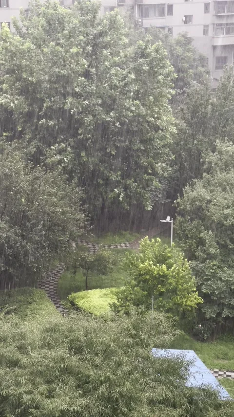 High-Rise Window View of Residential Garden Greenery in Torrential Rain Stock Footage 346615284