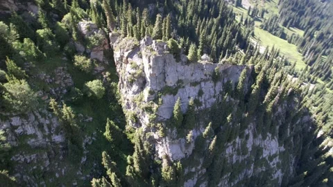 A high rock in middle of the forest in mountains Stock Footage 158993451