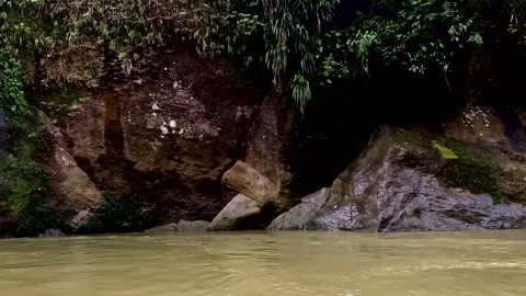 High rock wall alongside a tropical river; stunning green nature background Vidéo 336914097