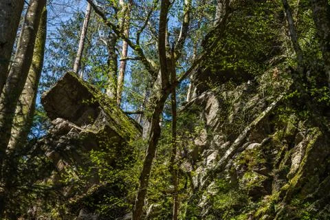 High rocks in a forest while hiking Stock Photos