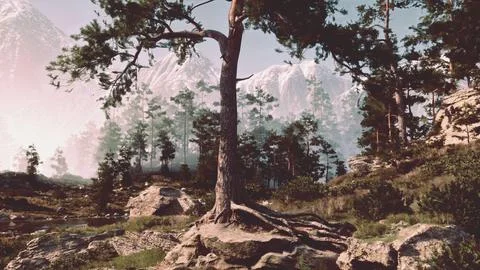 High rocky cliff with a pine forest Ilustración de archivo
