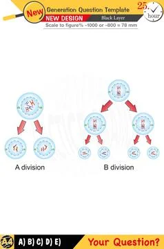 High school, numerical lessons, verbal lessons Stock Illustration