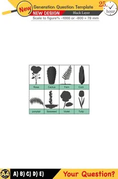 High school, numerical lessons, verbal lessons Stock Illustration