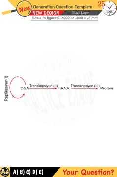 High school, numerical lessons, verbal lessons Stock Illustration