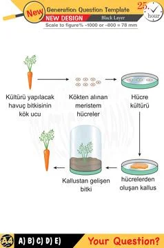 High school, numerical lessons, verbal lessons Stock Illustration