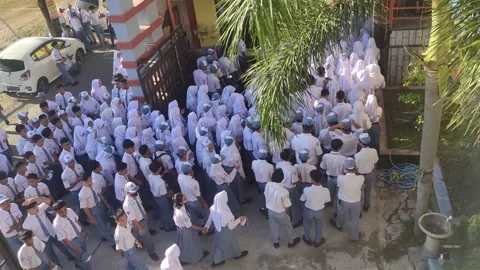 High school students enter the school gate. A crowd of high school students Stock Footage 246456747