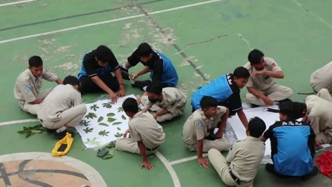 High school students making ecoprint artwork outside the classroom. Stock Footage 231285987