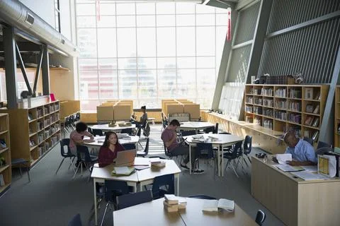 High school students studying in library Stock Photos