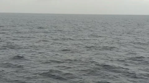 High seas Video stock 238798890