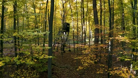 High Seat in the fall colored Woods Stock Footage 142005943