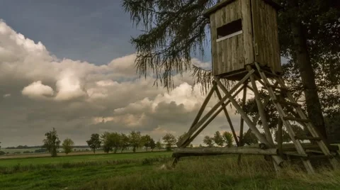 High Seat, Forest and Clouds Timelapse Vídeos de archivo 61392981