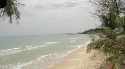 High-Shot Beach Palm Trees Blowing In Wind 7 動画素材 43132009