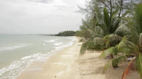 High-Shot Beach Palm Trees Blowing In Wind 10 Stock Footage 43136128