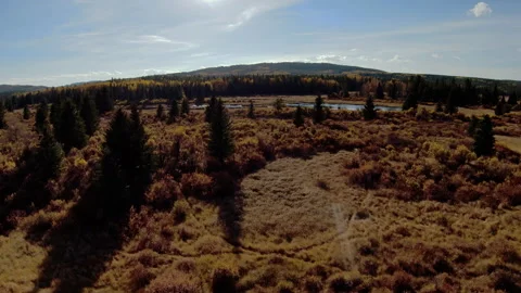 High Shot of Drone in Alberta Stock Footage 218636215