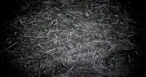 High Shutter edit of the ground Video stock 78047637