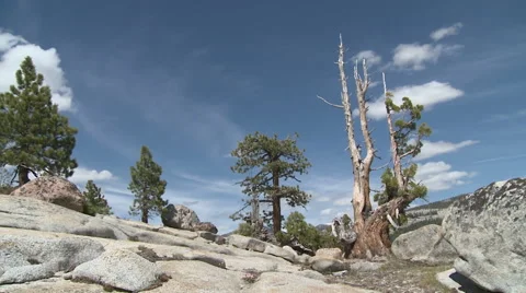 High Sierra Stock Footage 54708705