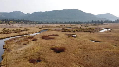 High Sierra's Stock Footage 172167178