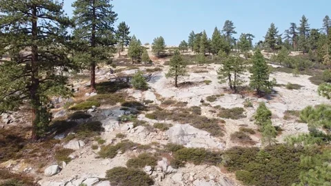 High Sierra's Stock Footage 172167190