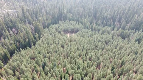 High Sierra's Stock Footage 172167423
