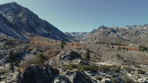 High Sierras Mountain Pine Trees Above Bishop 스톡 동영상 148508369