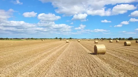 High in the sky, a captivating scene unfolds as wind turbines spin within a.. Видео 252656975
